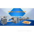 Cookies Machine/Hard&Soft Biscuit Production Line Gas Fired Tunnel Oven